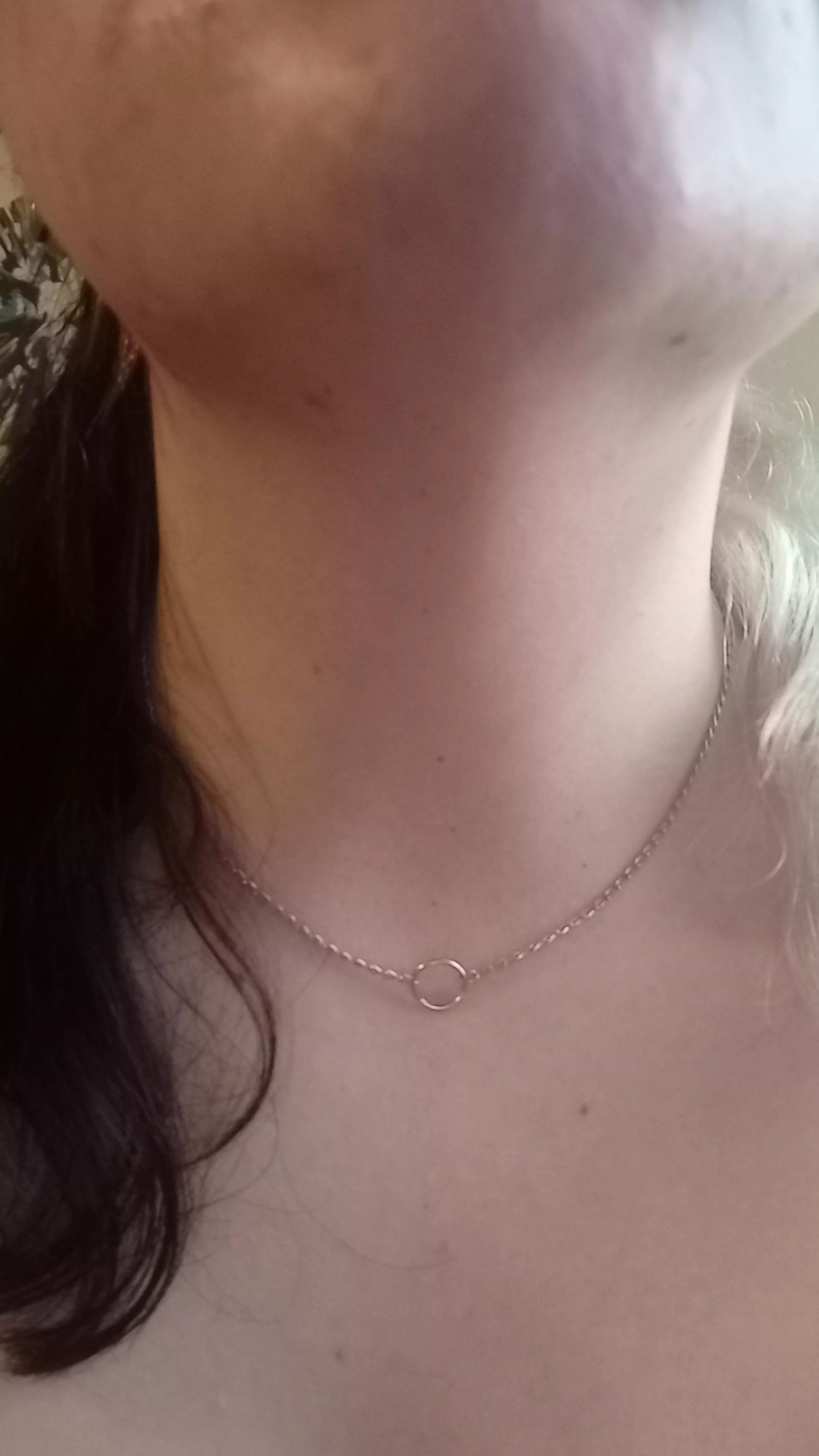 freshly collared boi ❤️❤️ posted by bvrnertboy