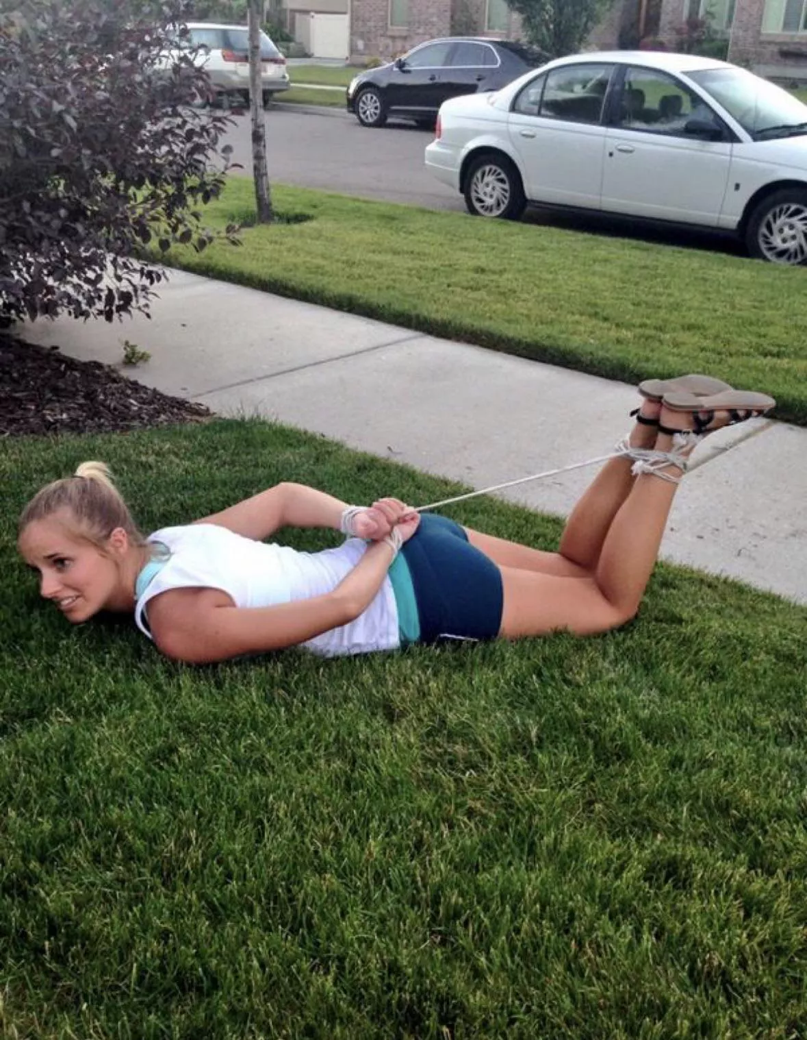 Front lawn posted by Zealousideal-Bet7193