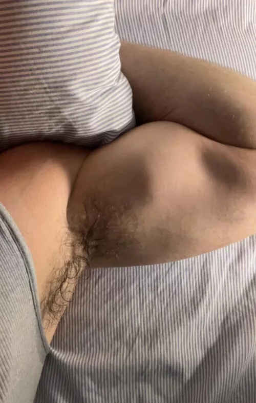 Funk generator by AccumulatedACE