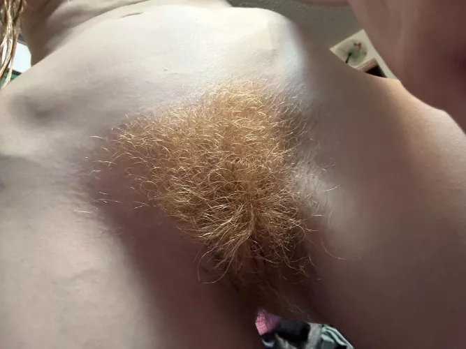 I like my red fur. Do you? by abbyrse