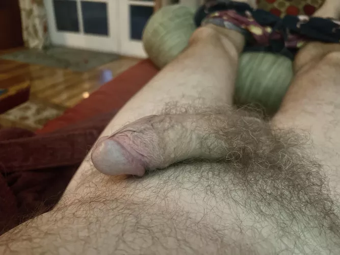 Lounging. [60] by norcalexhibitionist