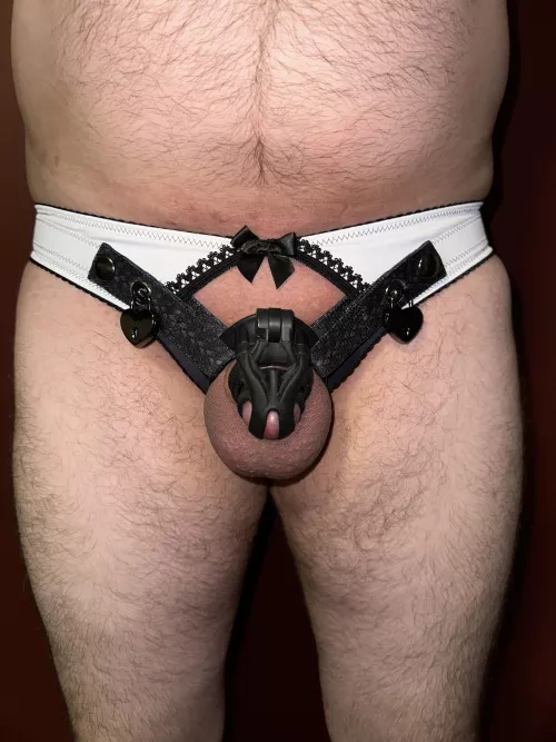 Mistress got me a new strap for my cage. What do y’all think? by p9876543201