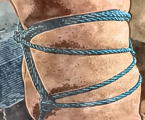 New Hip Harness by Loose-Ad-6420