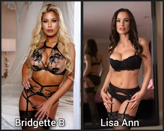 pick one - Lingerie milf battle - [Bridgette B] [Lisa Ann] by abo_oba73