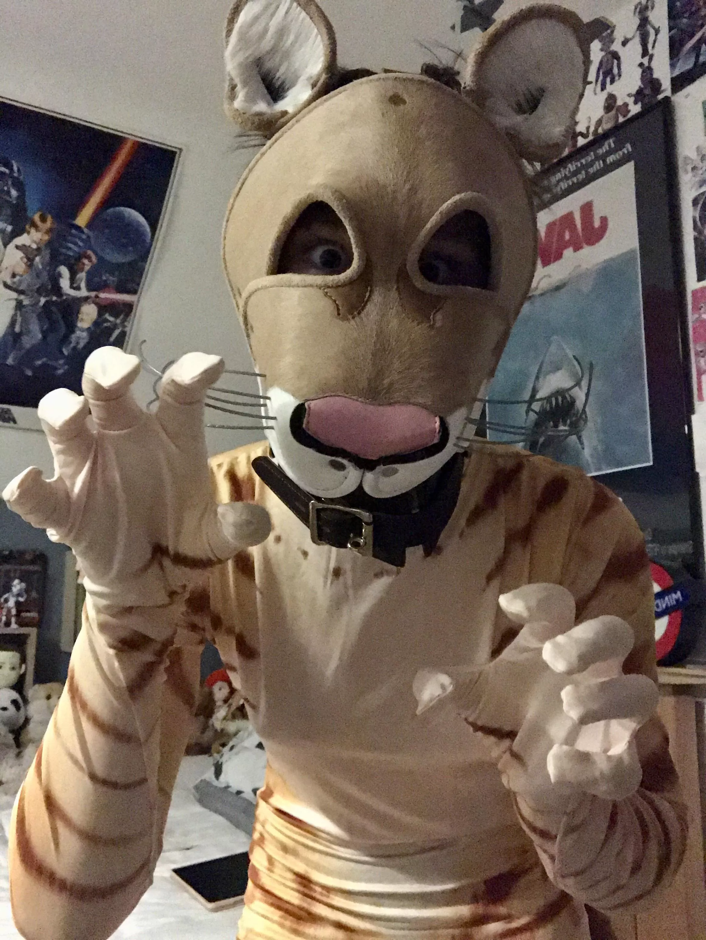 This cat is crazy crazy :D posted by SaxonSaysWoof