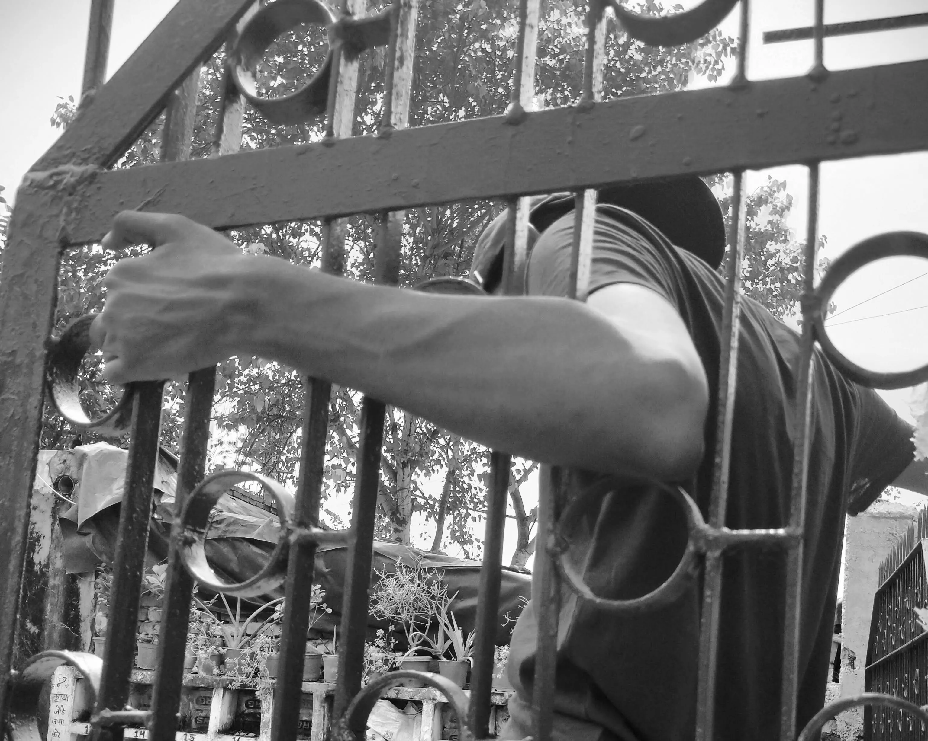 Vascular cuz I'm skinny posted by knob_rub