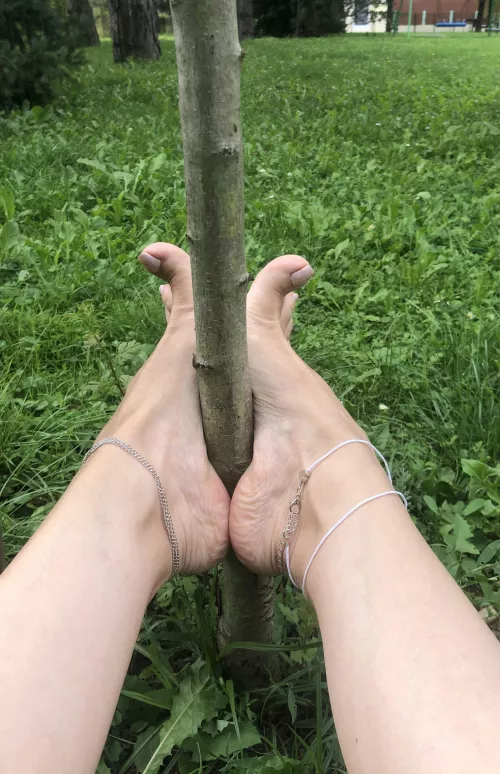 Whoops...good job Alba’s by albastoes