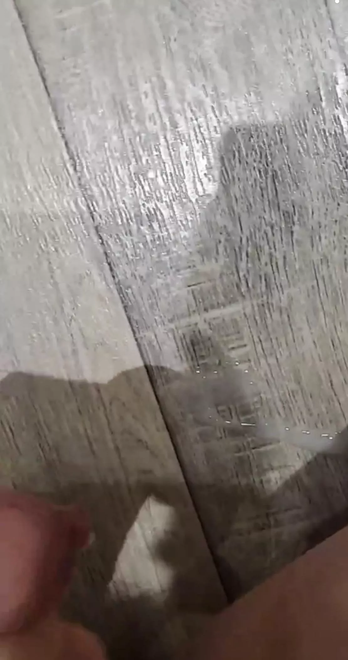 Who’s gonna help me clean up? posted by Youngandhung-9725