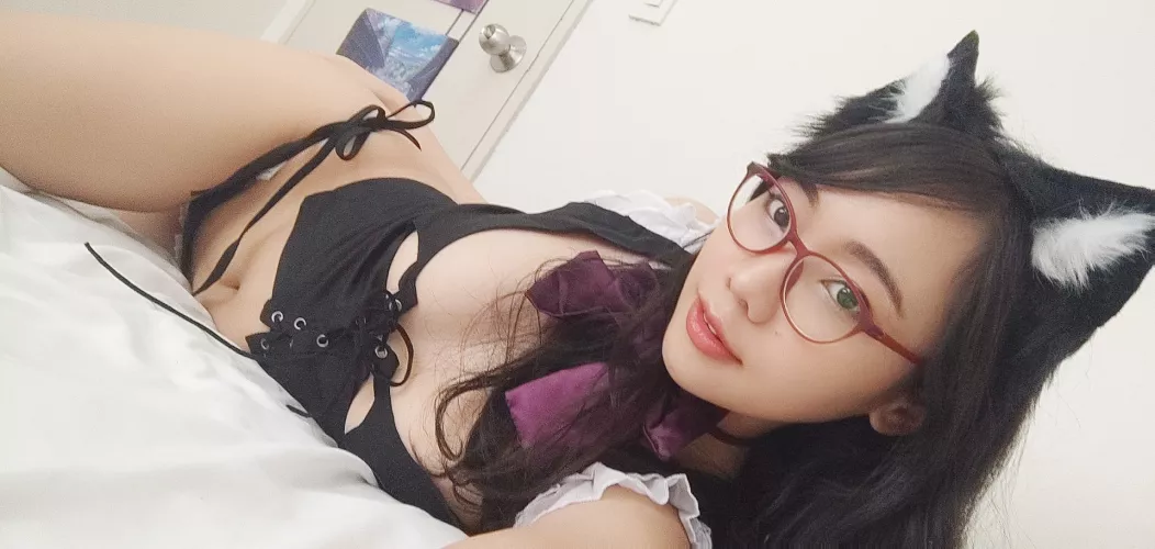 Would you pet this cat?? by [deleted]