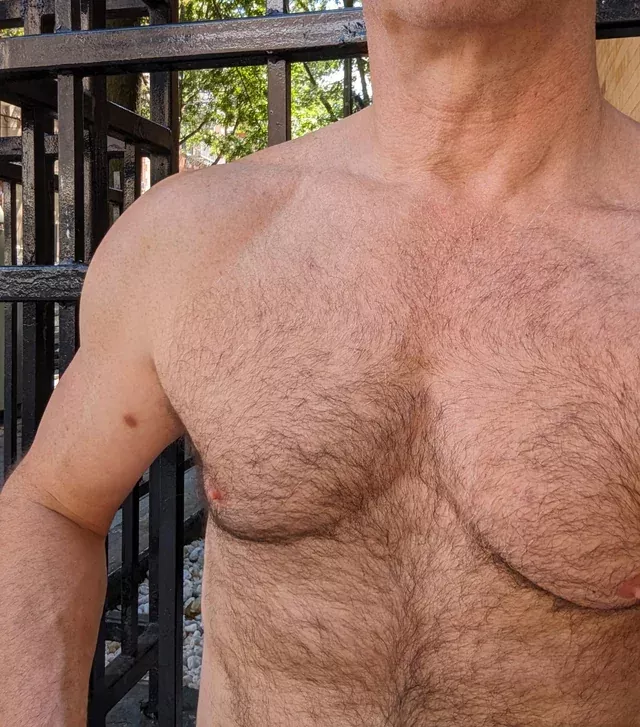 Airing out the hair on a beautiful afternoon posted by KidTwist1