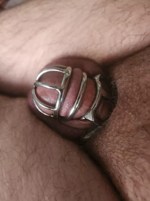 All locked up by up_forwhatever