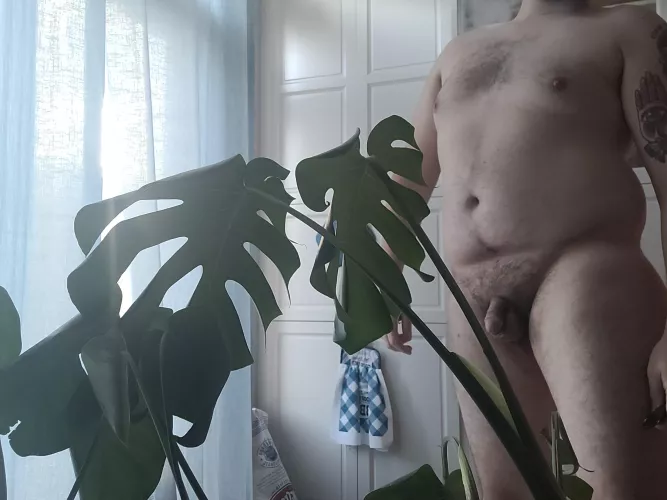 Chillin in the kitchen as a home nudist by homie_sexuals449