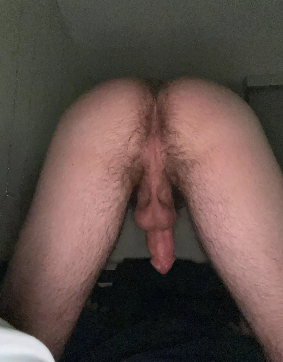 Do we like a hairy man ass? posted by japaul42401