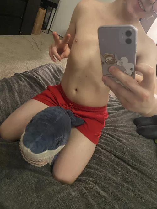 Does anyone like sharks? by TheBrosofFist