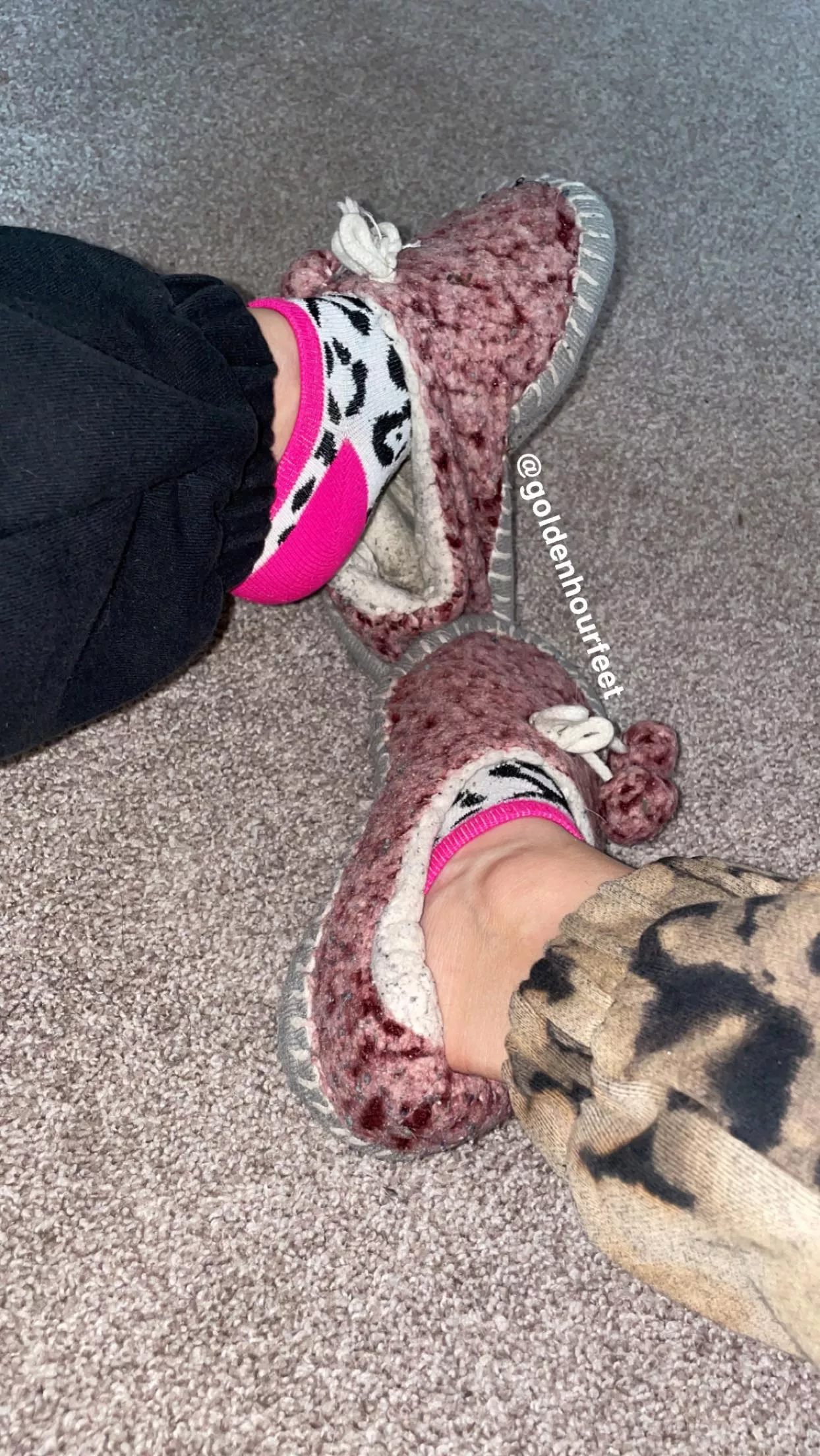 Don’t these look like they smell delicious?😜 posted by goldenhourfeet