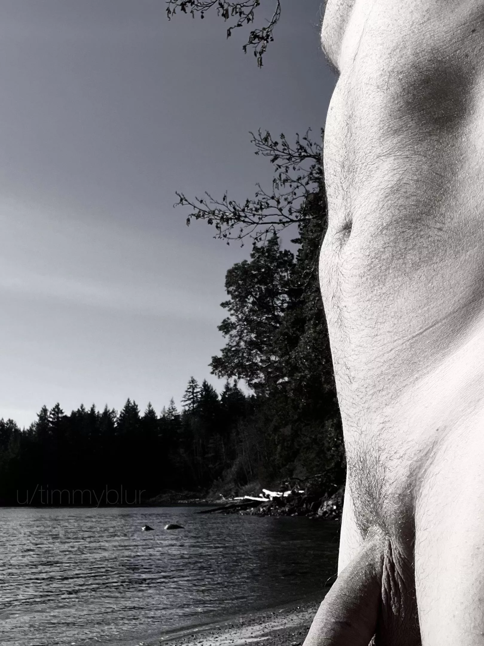 Even in black and white, the scenery was amazing. posted by timmyblur