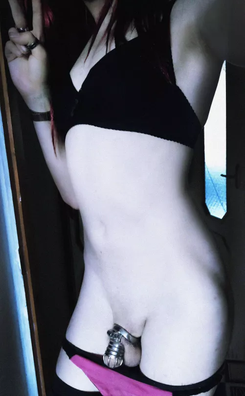 Locked and plugged for 961 day straight ;D by superuser656