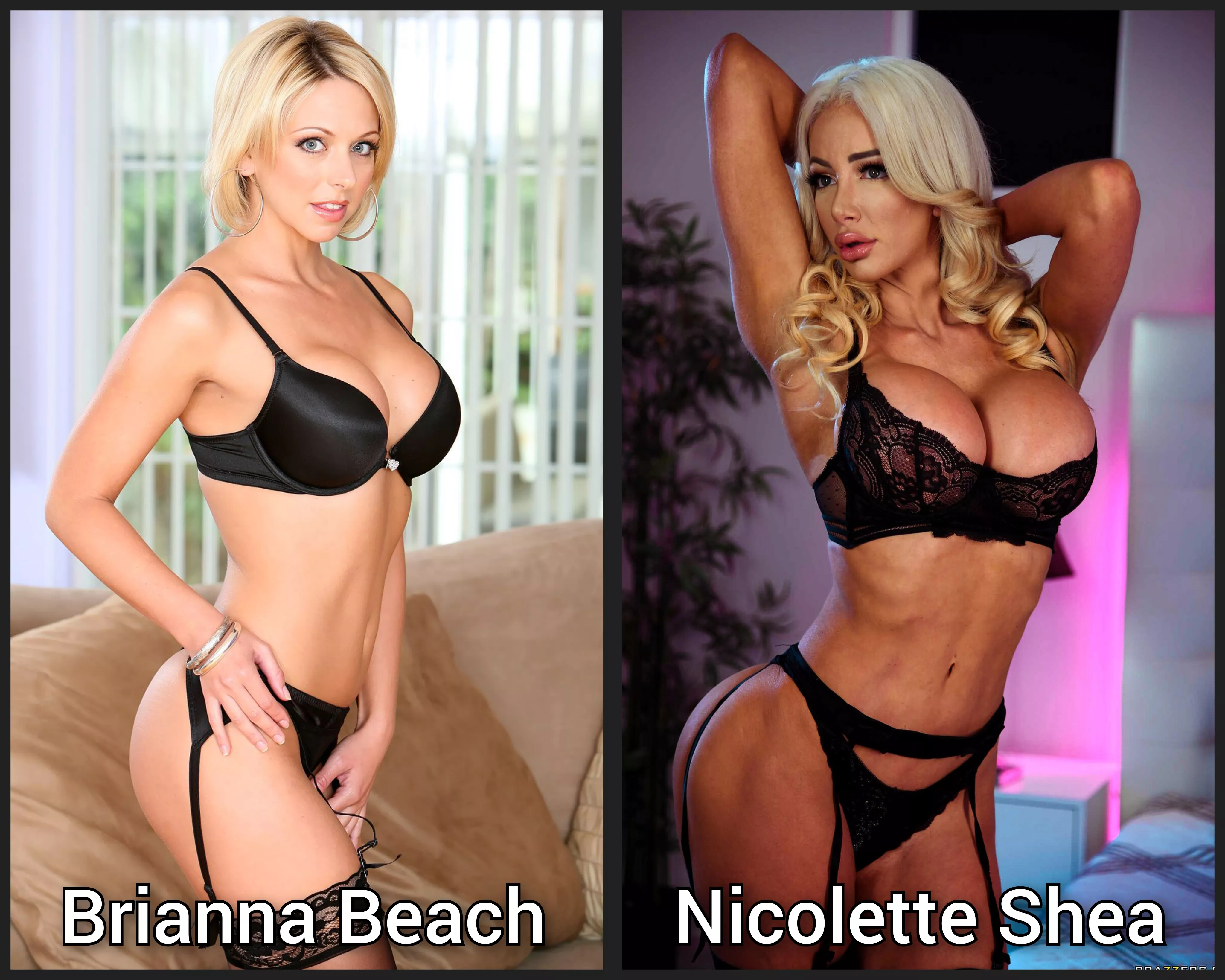 pick one - Lingerie milf battle - [Brianna Beach] [Nicolette Shea] posted by abo_oba73