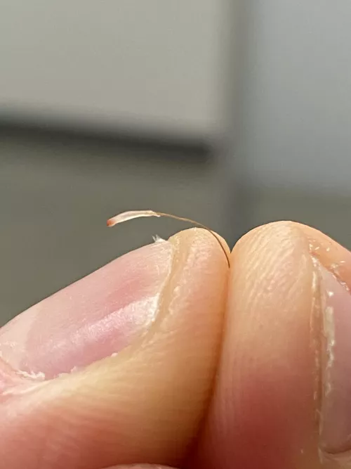 These are my favorite by The_kid_laser