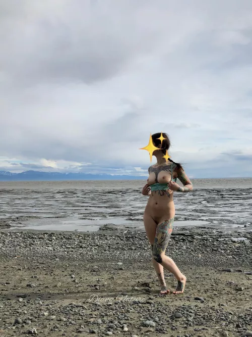 A chilly day at the beach! by DianaNature