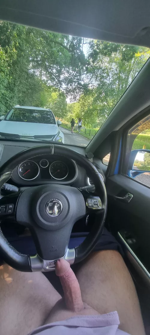 Cock out by rider196655