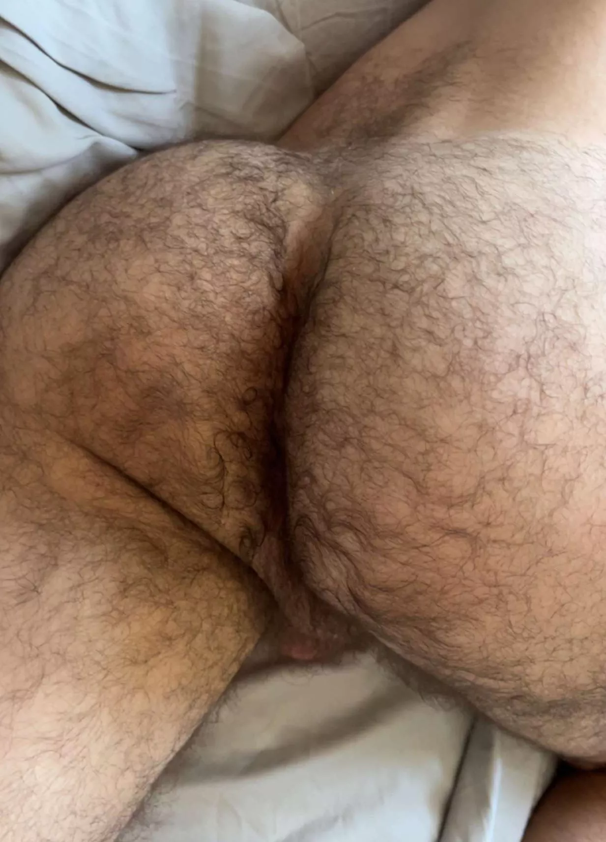 Dive in posted by nostromo1803