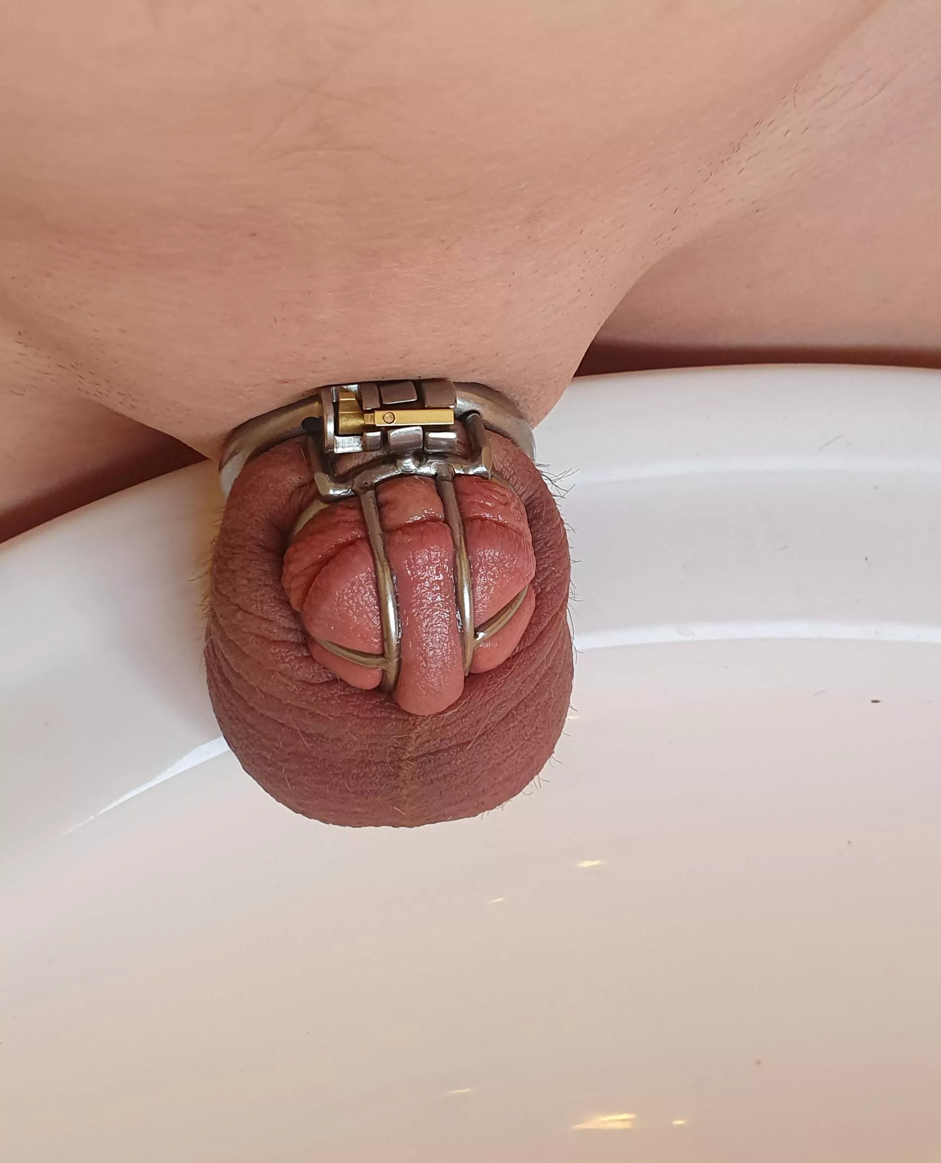 It's funny I've spent probably a thousand dollars on custom cages yet this cheap mass produced cage is by far my favourite posted by shitsandgigssss