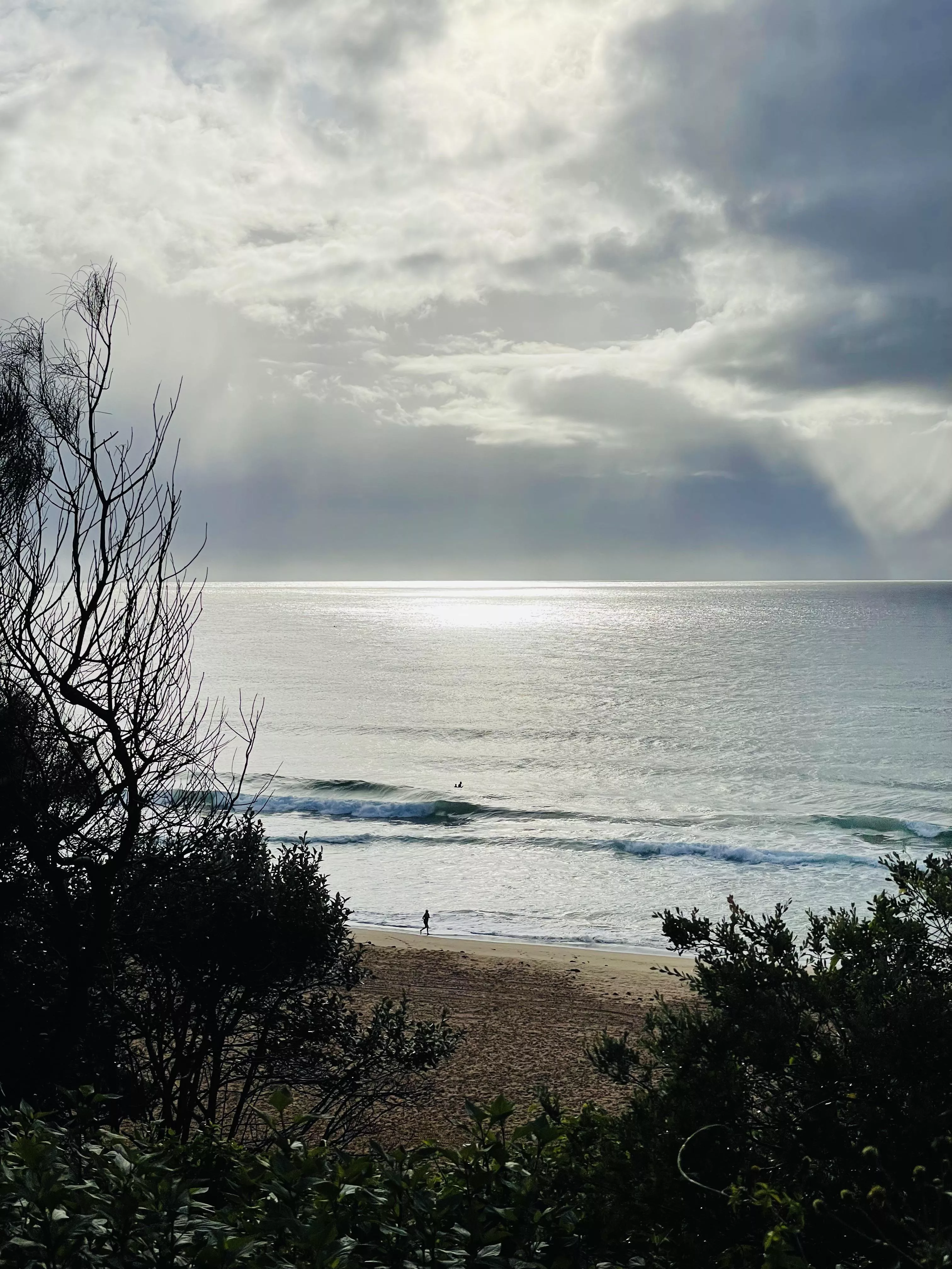 Northern Beaches, Sydney, Australia 🇦🇺 posted by cara_elle