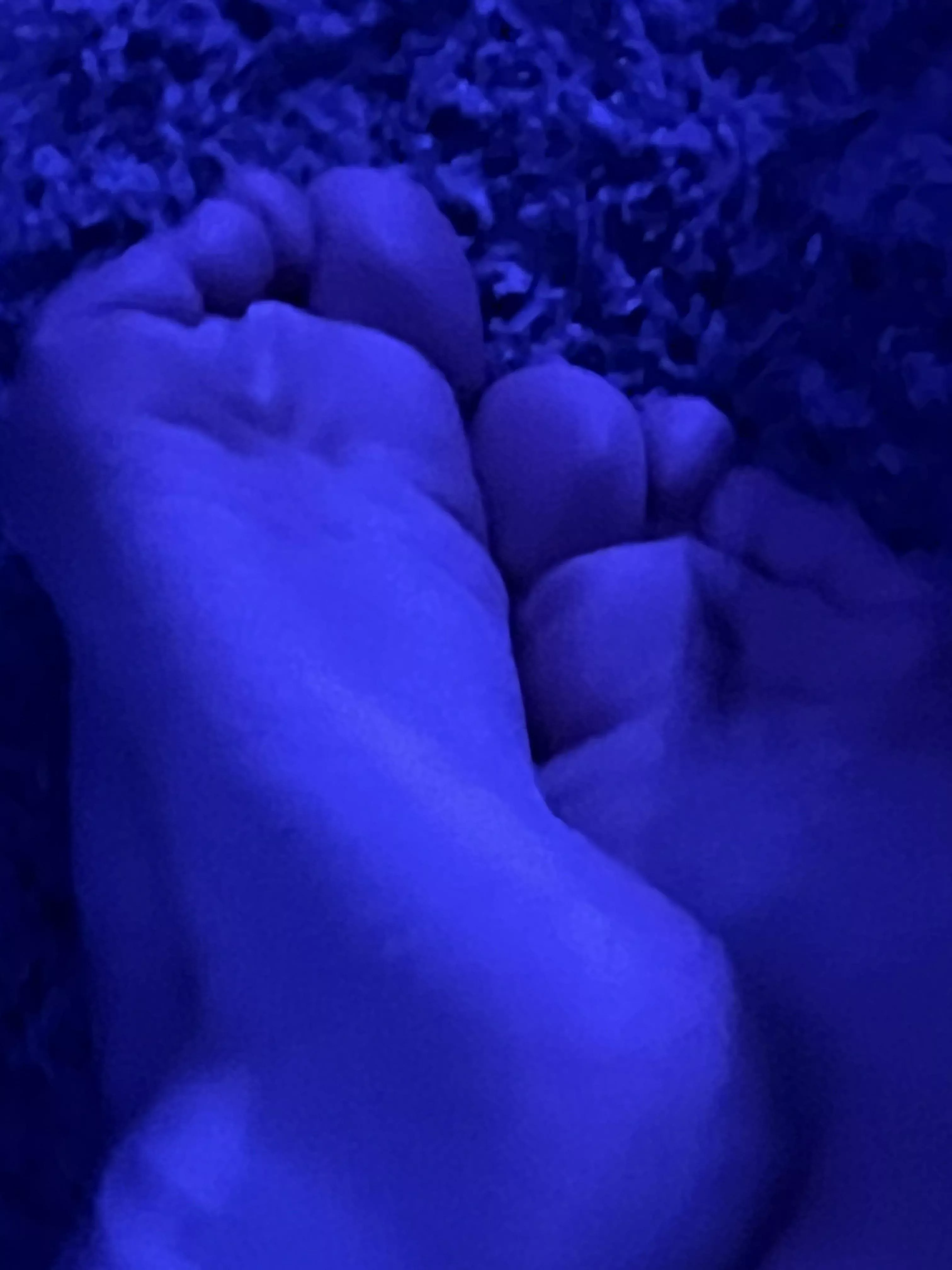 Pic I took while playing HOI4 :3 posted by SilyGirlAlt