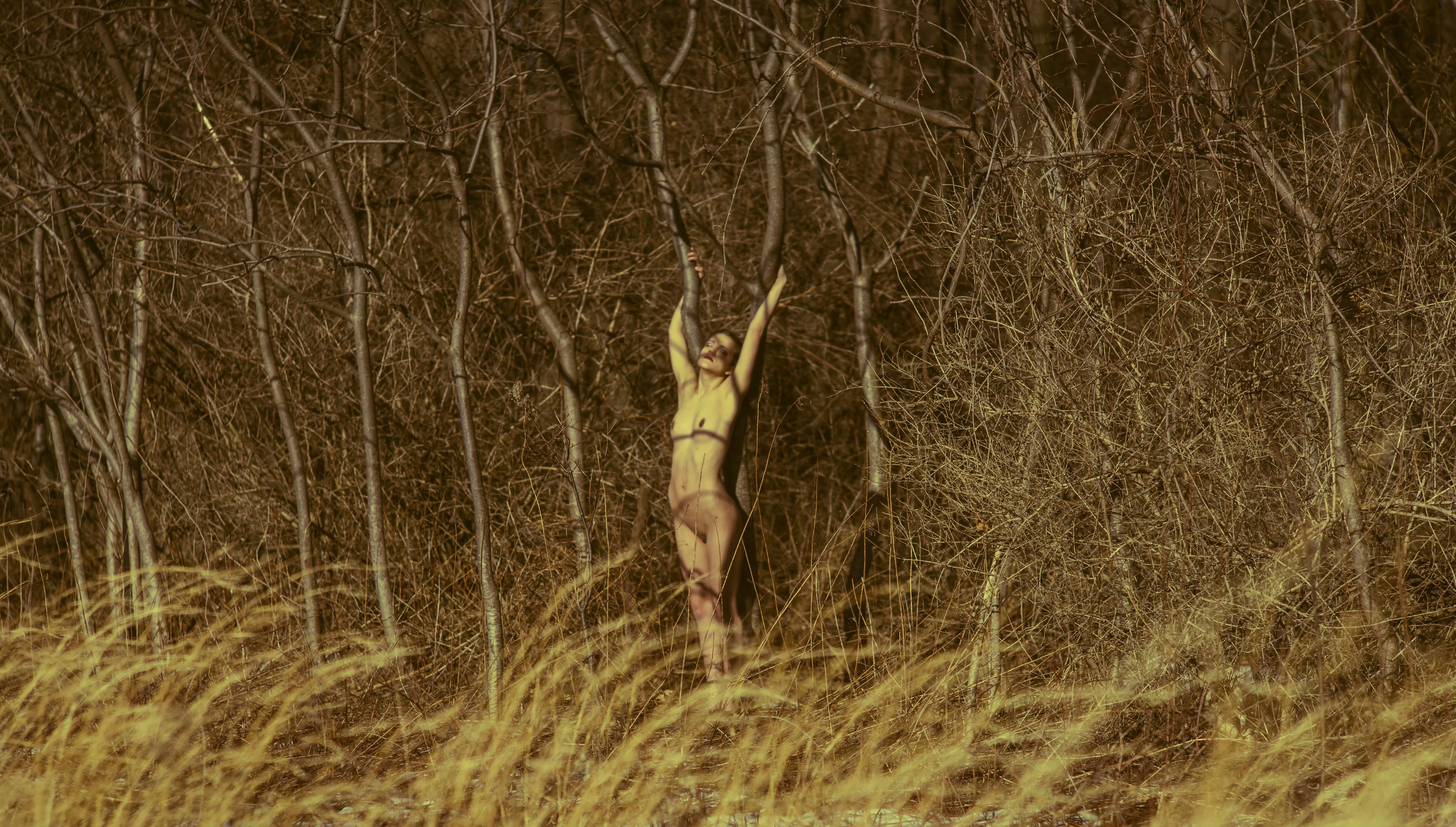 Secrets of the Sumac posted by HeLurks