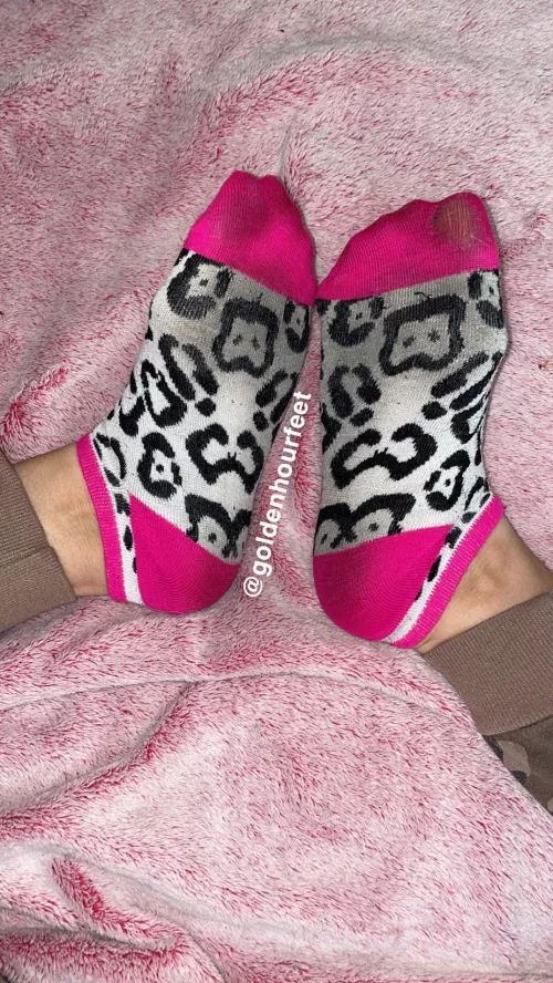 What do you think my socks smell like?😈 by goldenhourfeet
