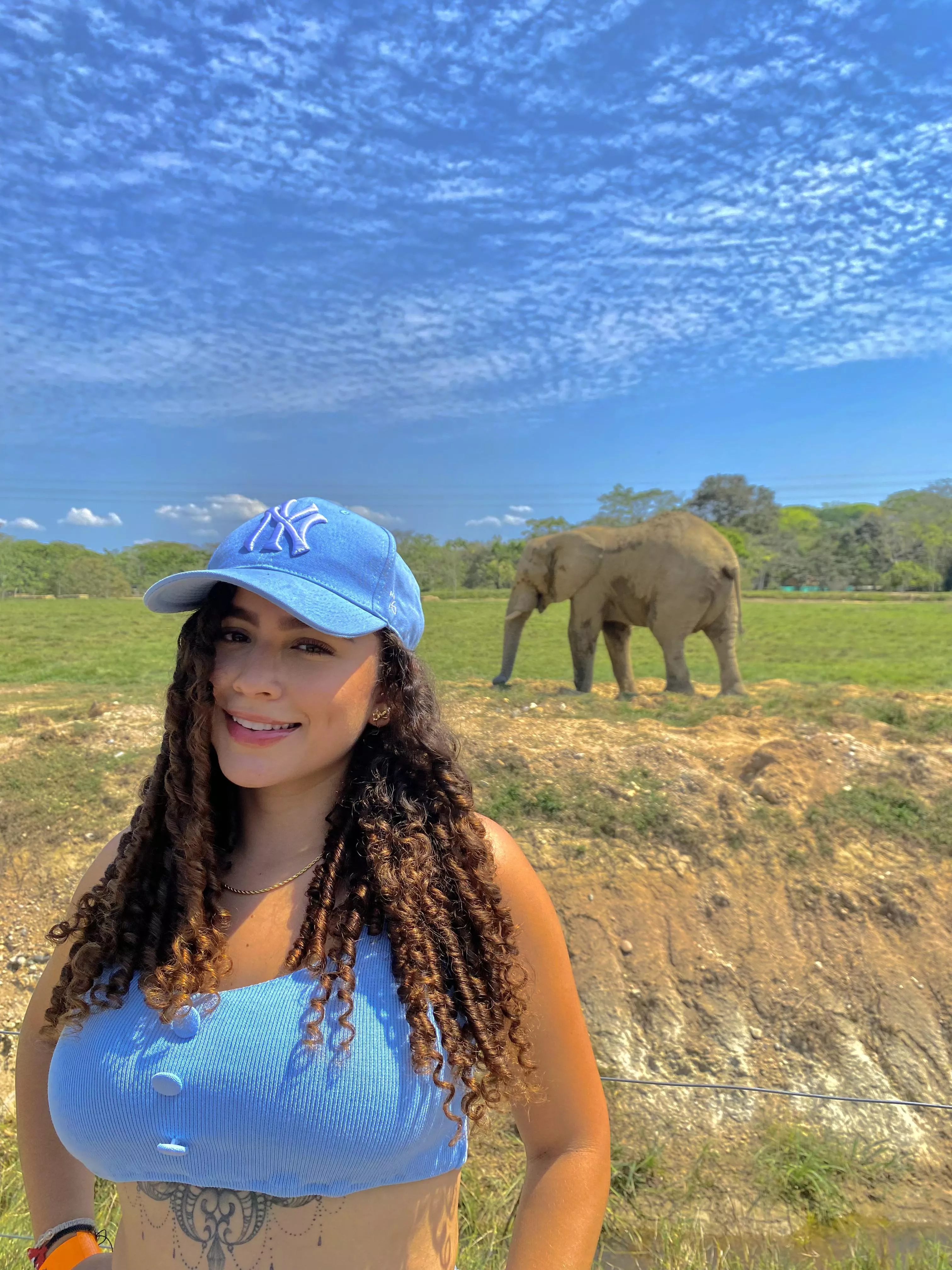 The elephant is definitely too big to hide posted by lovinscsubsidy