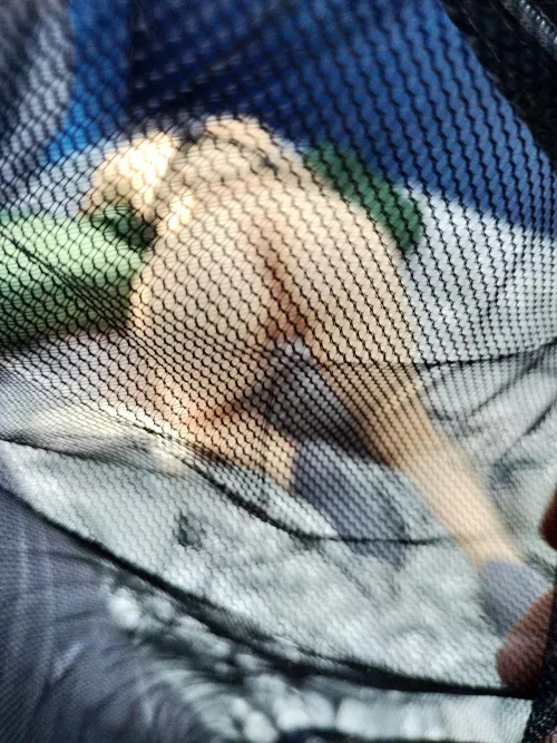 Hidden with inTent by TheheArtofSex