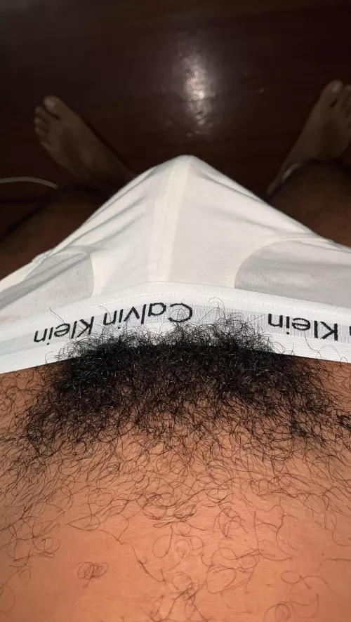 I let them grow by emilfridman33