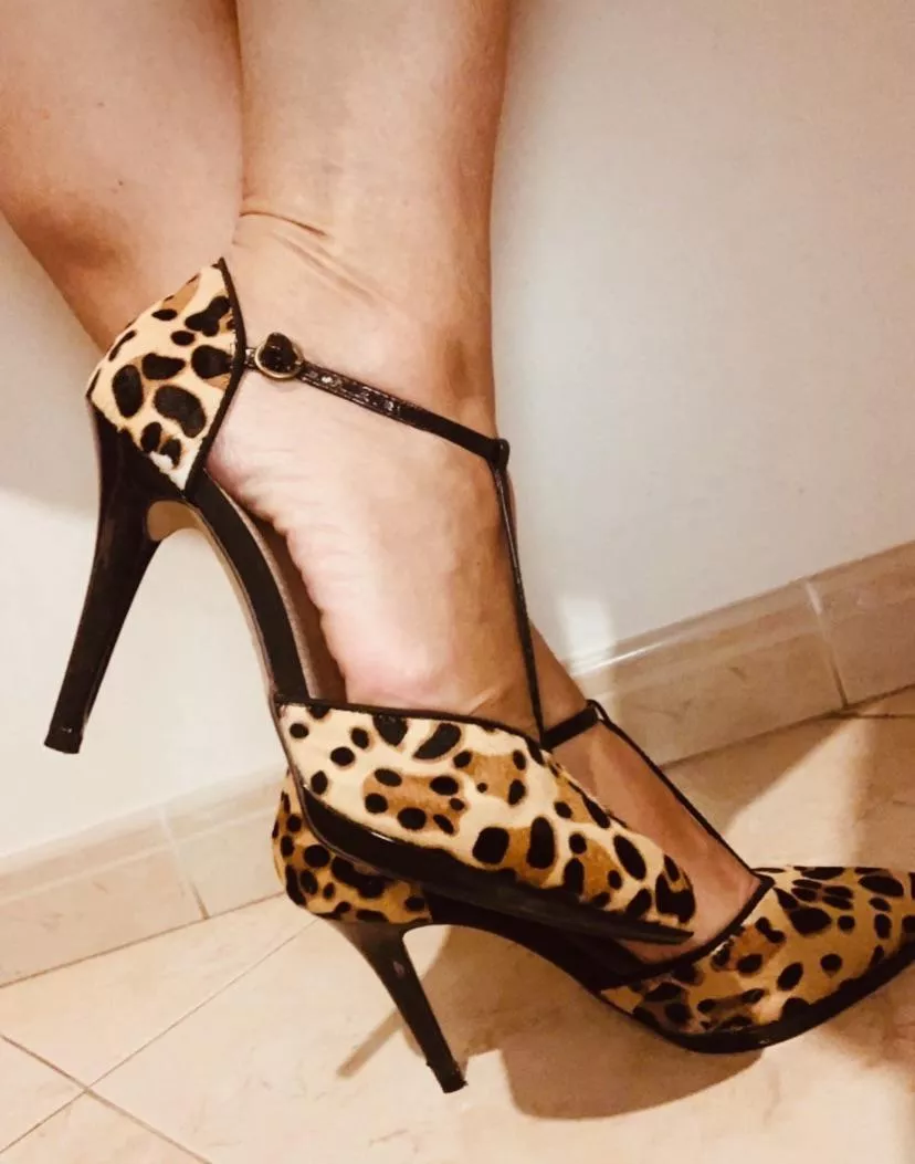 Leopard heels are always hot posted by MrsSisiu