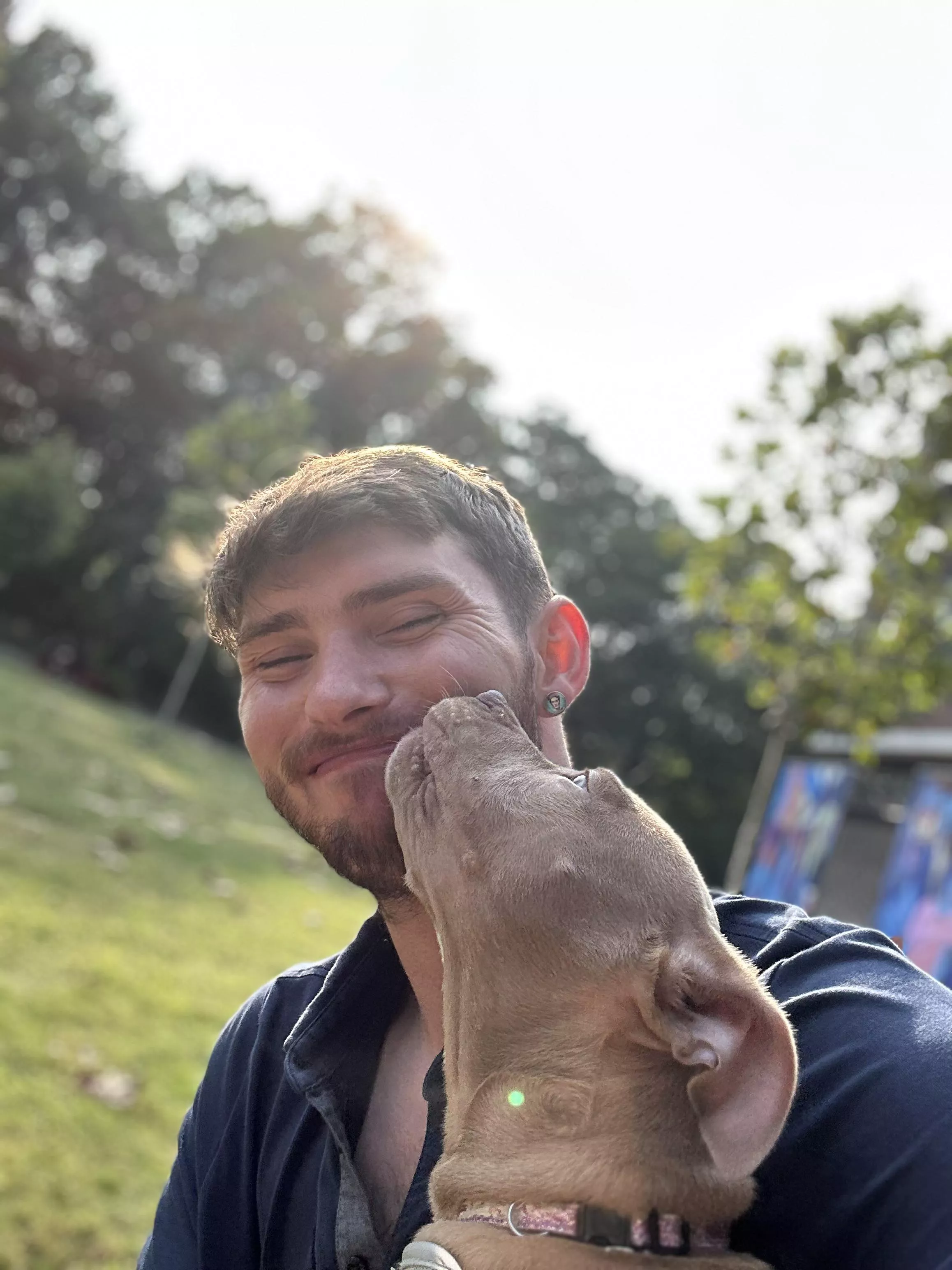 Will never understand why pit bulls get the reputation for violence posted by mazzeleczzare