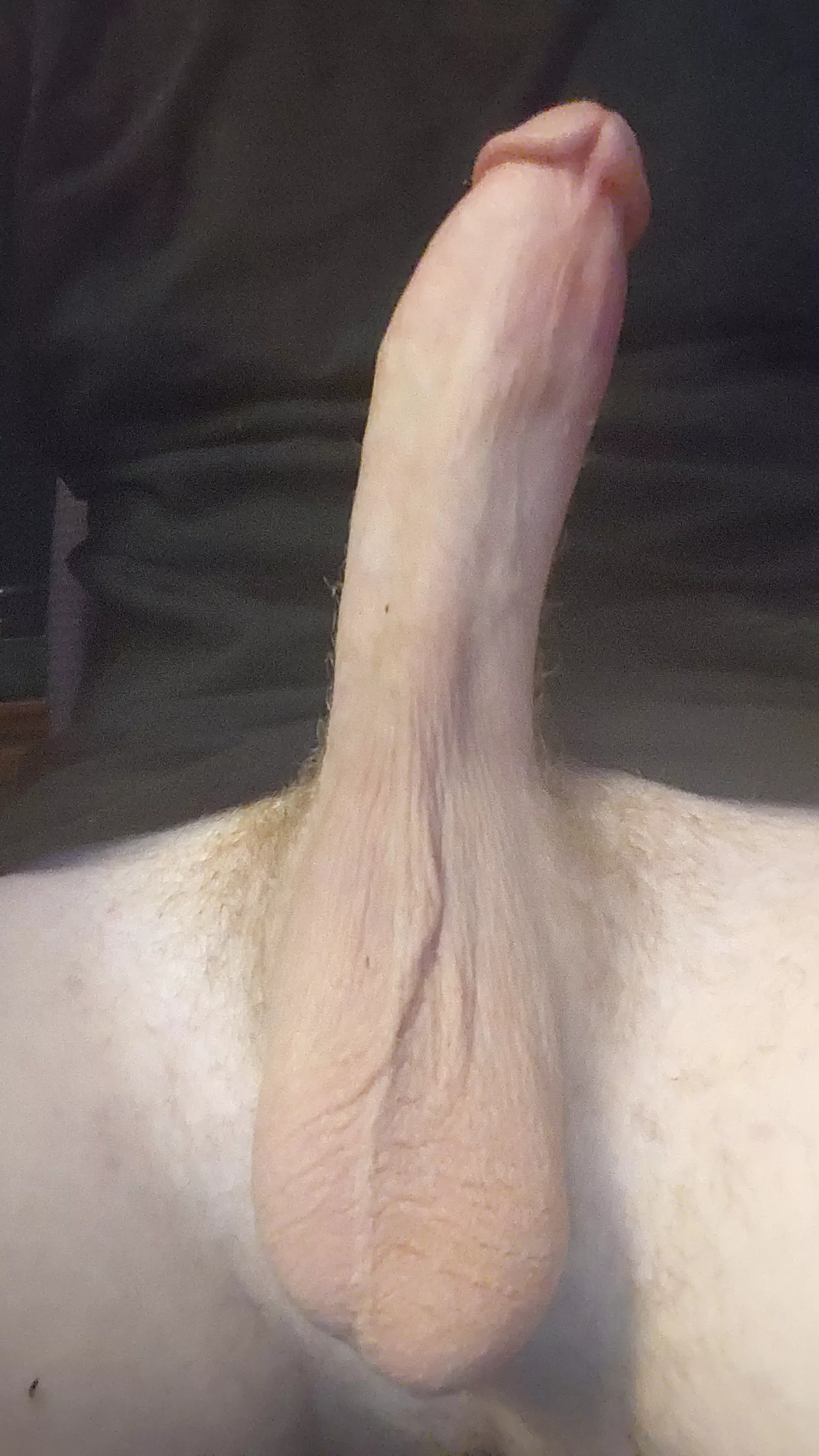 Wyd if I whip this out posted by bwc_long8in