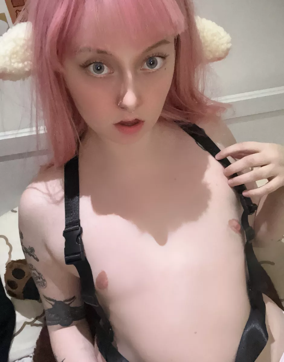 did my little tits make you smile :3 posted by babybabybaby_backup
