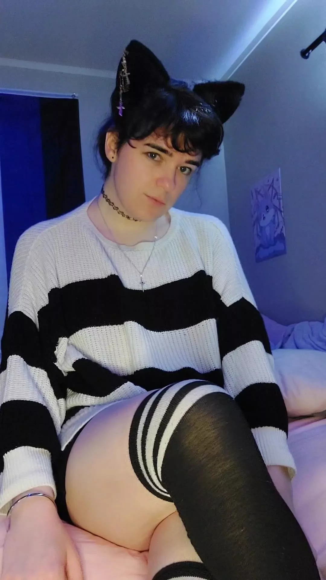 Does Reddit like Catfemboys? posted by Scyitsi