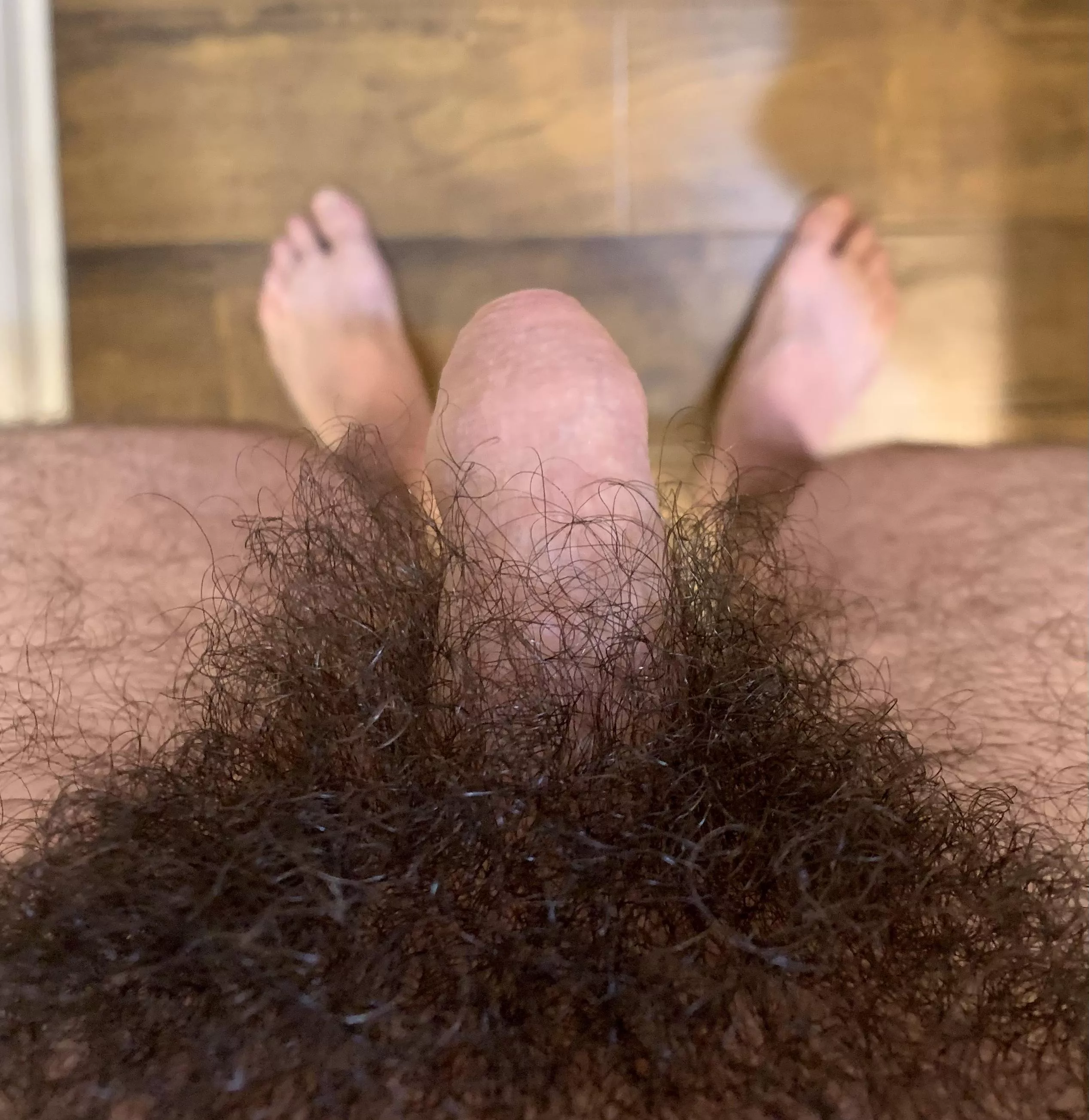 I think I can use the “heavy pubes uncut dick” flair when my bush covers half of my shaft. posted by coveredpurple