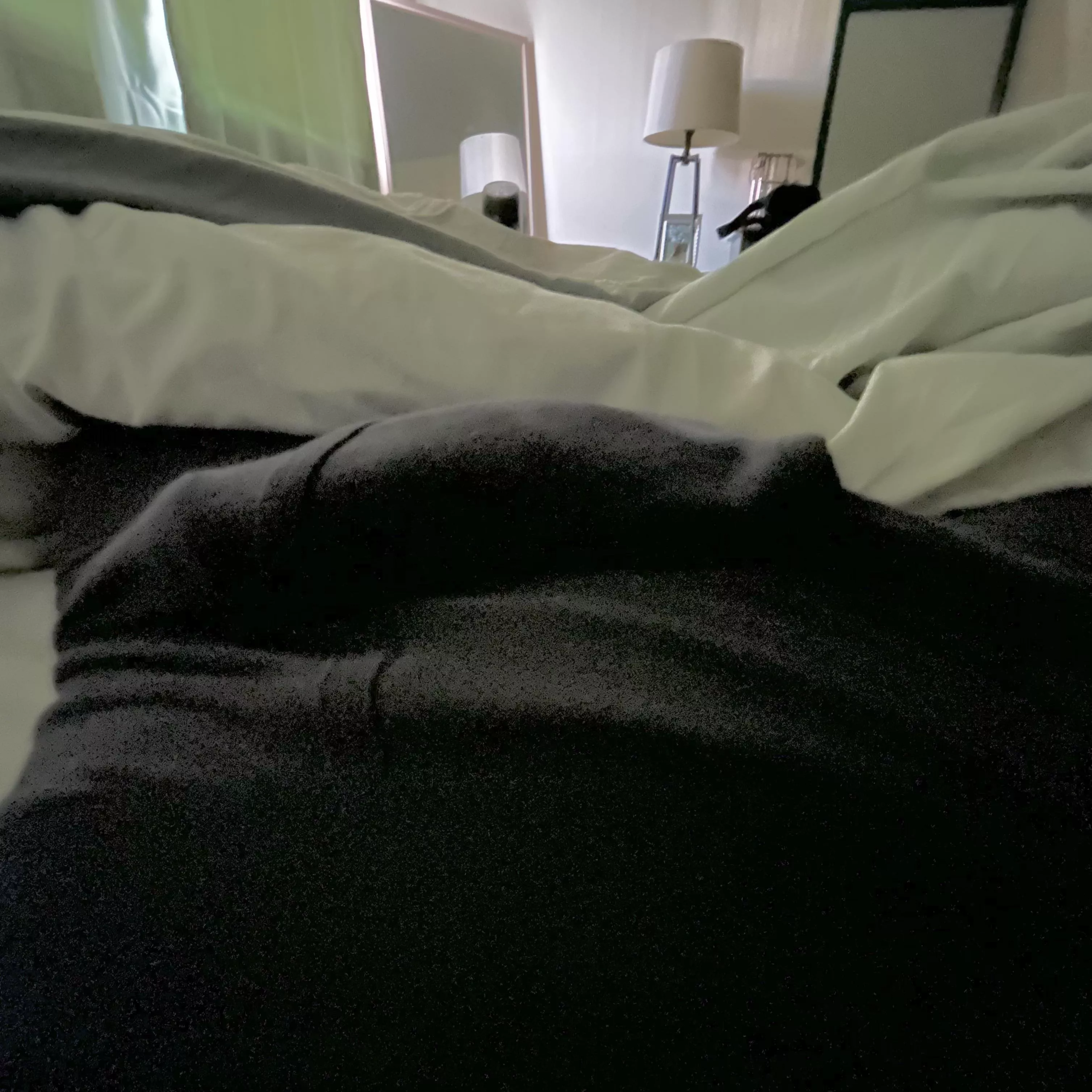If you rolled over and woke up to this, what would you do? posted by SpankinMyMonkey