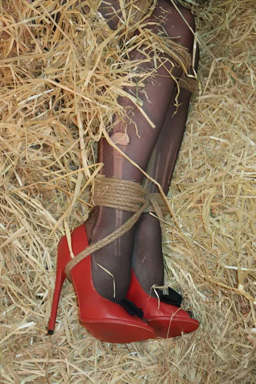 Love This Shot of Tied Ankles by Comfortable-Egg1572