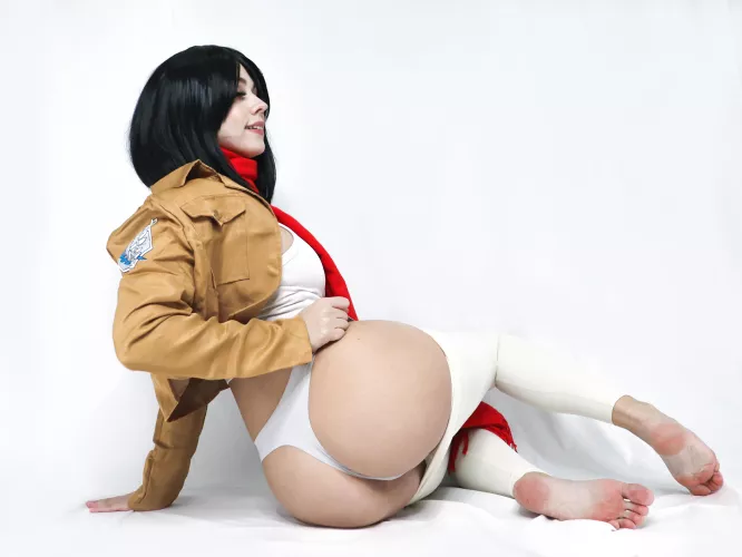 Mikasa Ackerman [AOT] (Fairy Elfie) by CharmingMistress