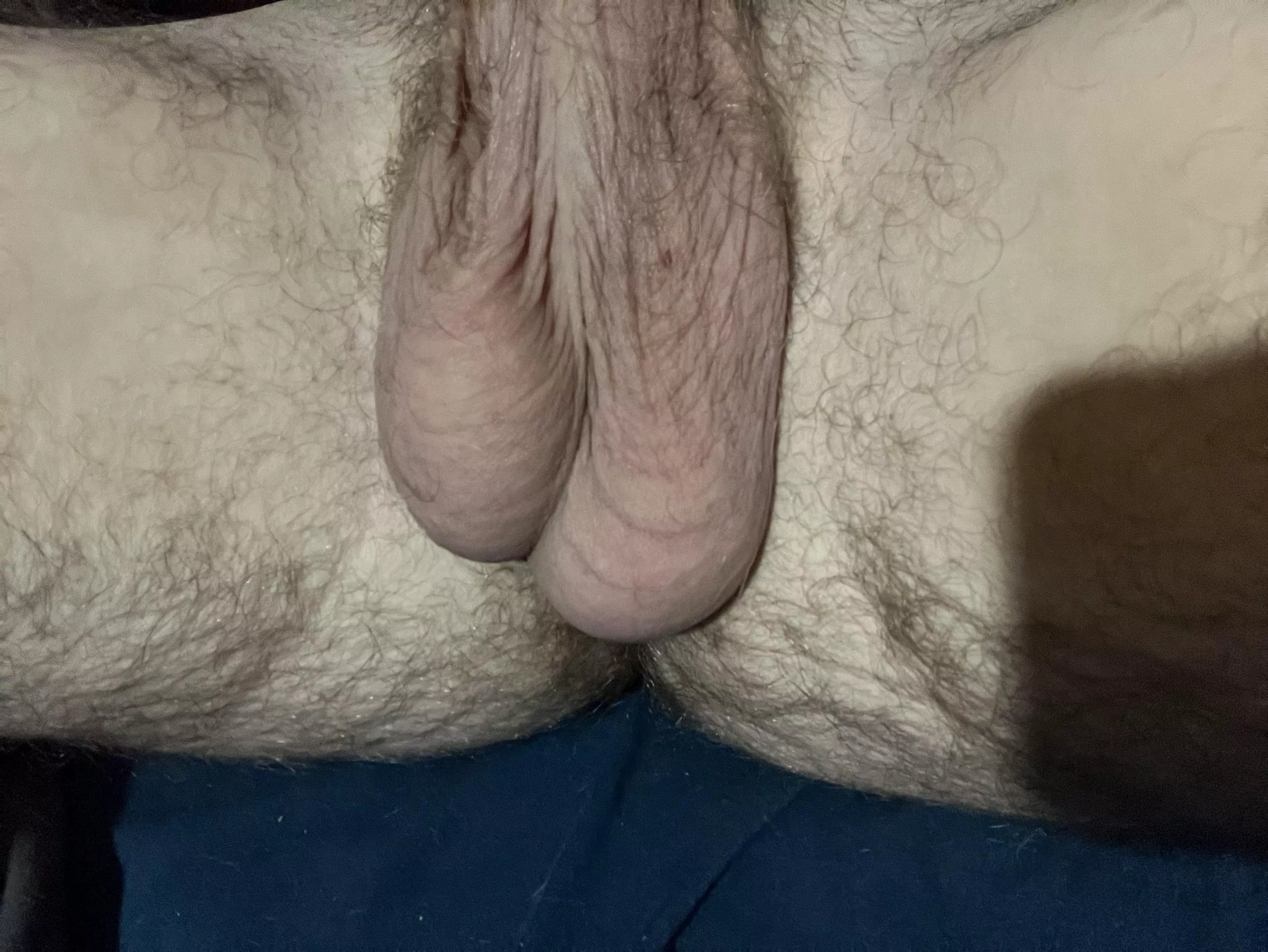 Suck on them posted by trippy_shrooms