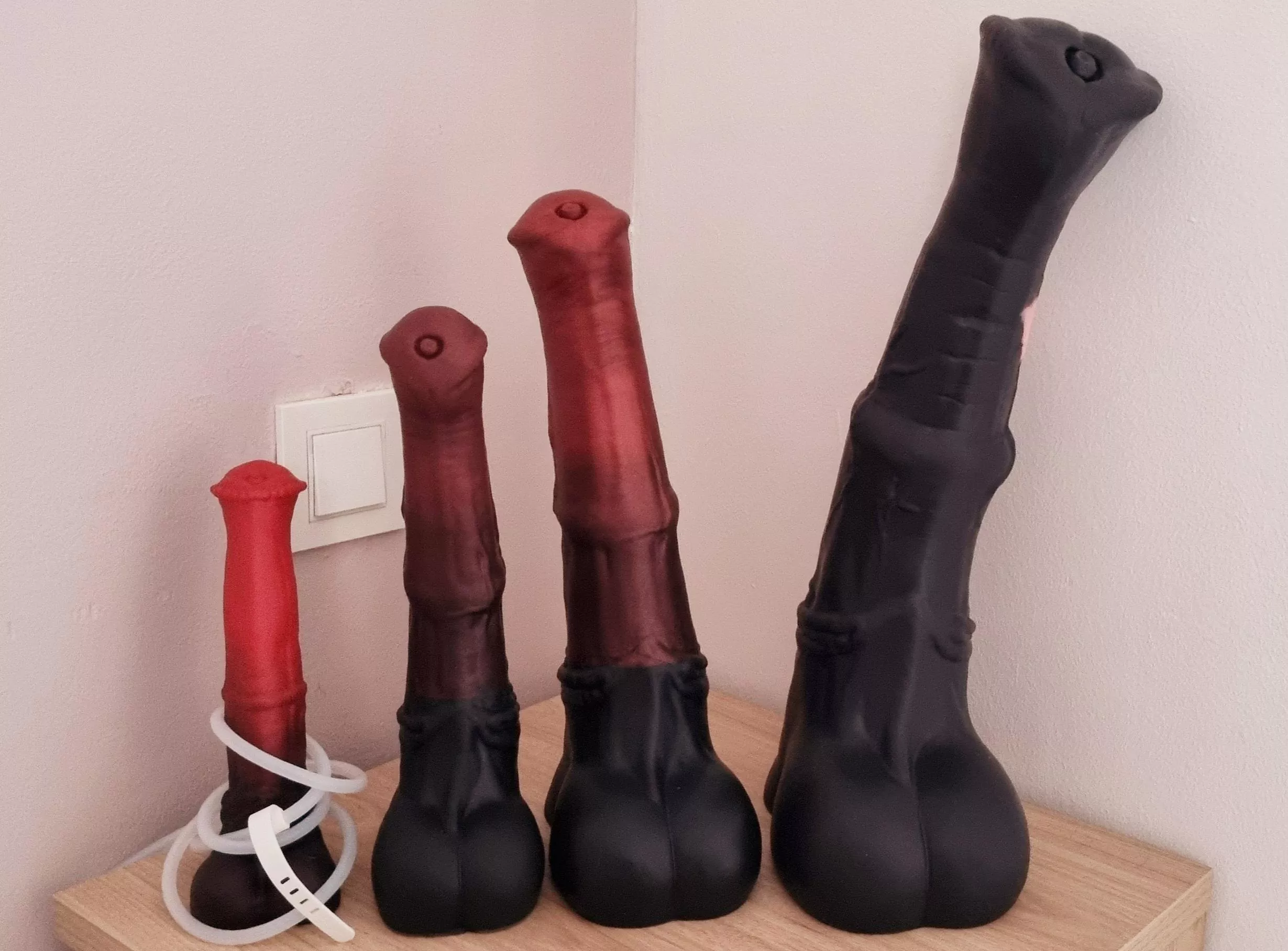 Good 4 boys (Chance's Family) posted by LittlePawsReady