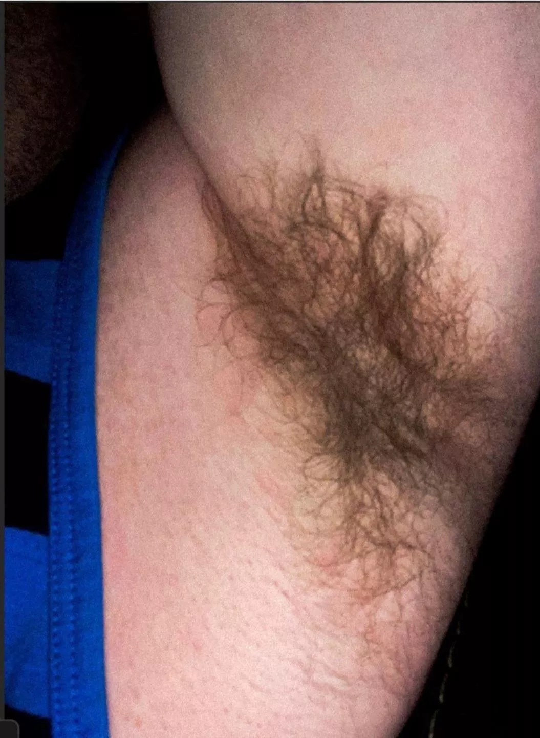 I'm fully embracing my man pit going forward (31) posted by bf4986