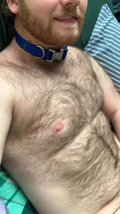 New apartment has some pretty good lighting by evilmrclean