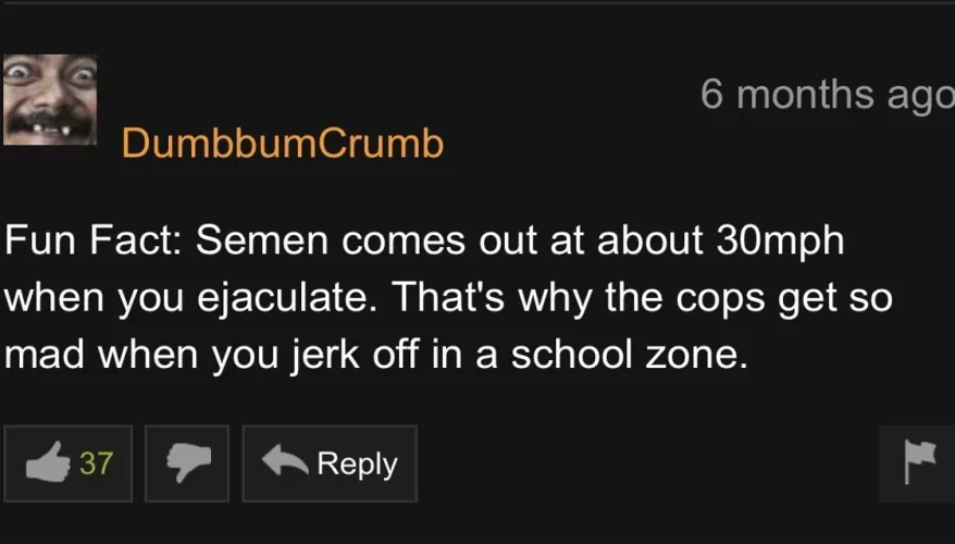 Oh, so that's why I got arrested last week! by snuglyfly