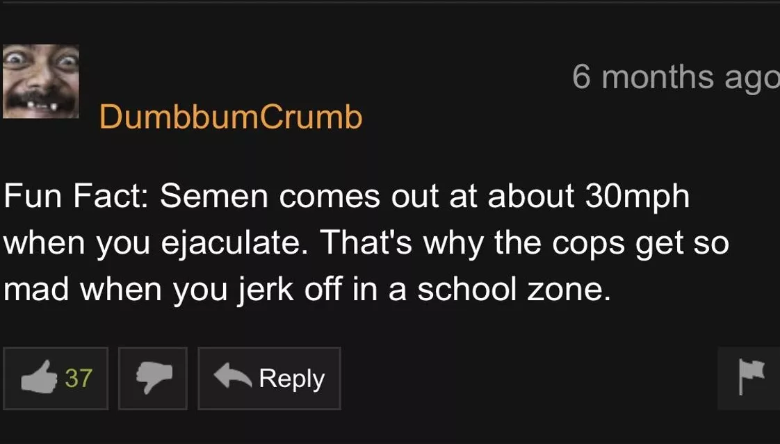 Oh, so that's why I got arrested last week! posted by snuglyfly