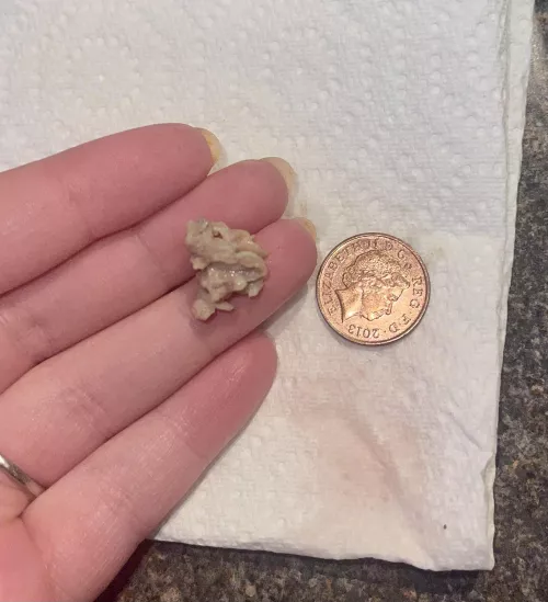 [update] on the thing I birthed from my mouth by sunbluff